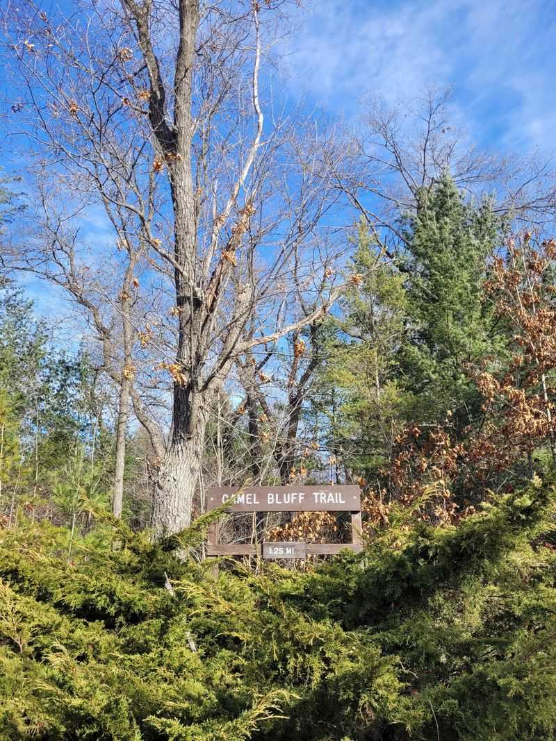 Camel Bluff and the Lower Loop