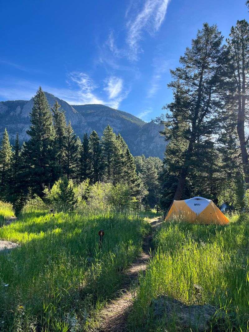 Aspenglen Campground — Rocky Mountain National Park