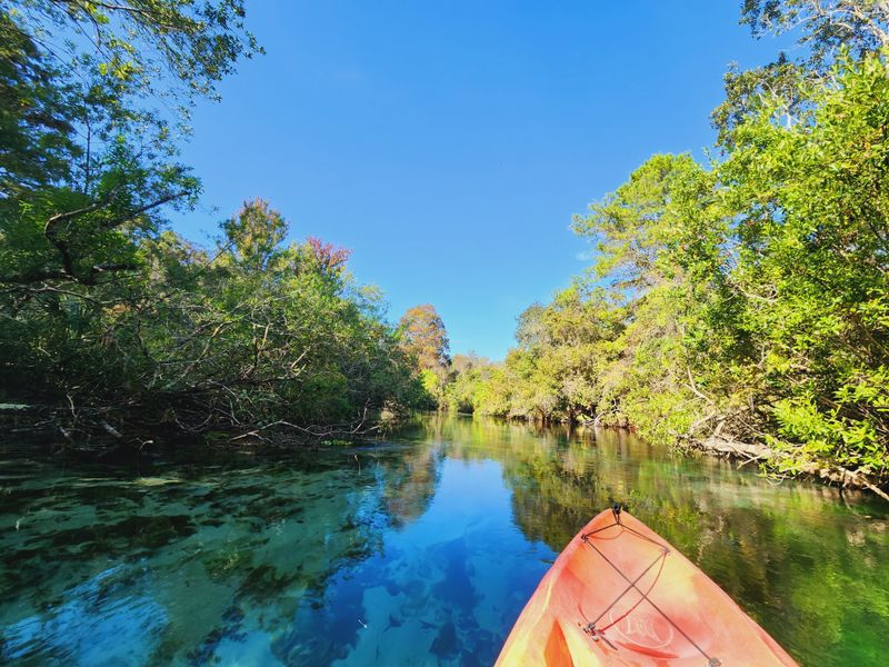 Weeki Wachee Springs State Park &mdash; Weeki Wachee, FL