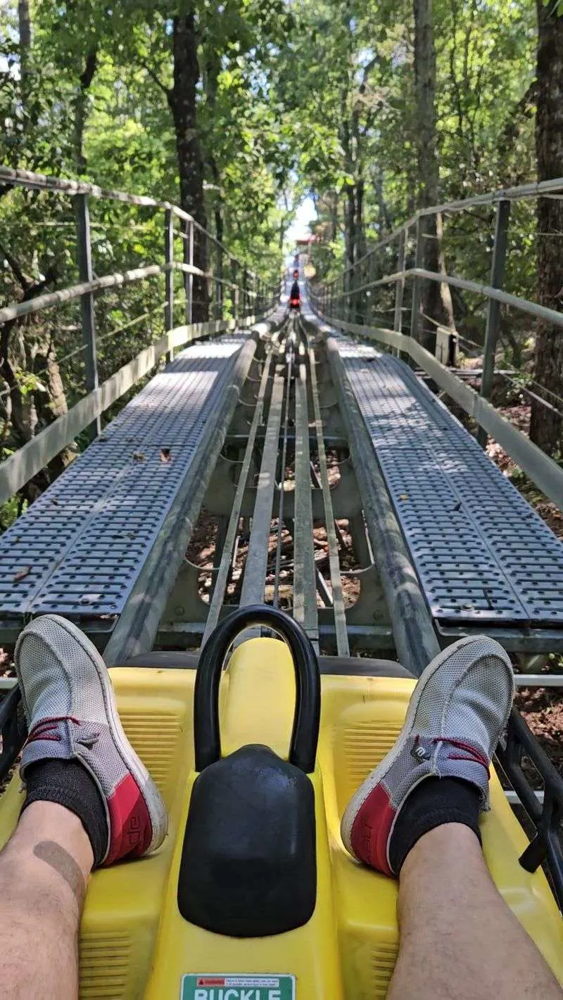 Self-Controlled Speed