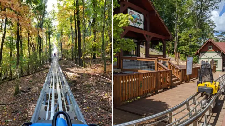 Mountain Views and Speed Come Together at Georgia&rsquo;s First Alpine Coaster