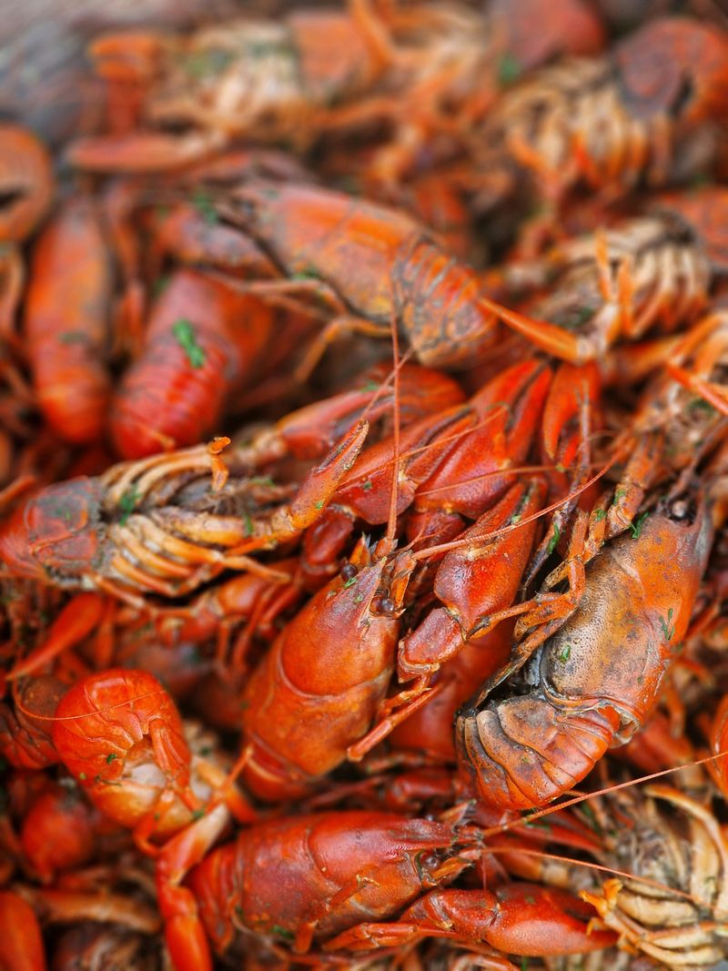 Downtown Lake Charles Crawfish Fest &ndash; Lake Charles, LA