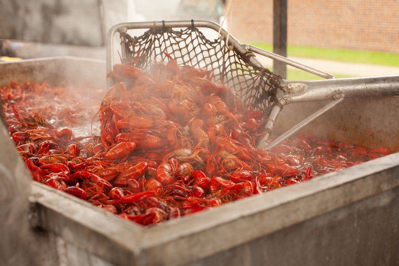 Crawfest - Tulane University (New Orleans)