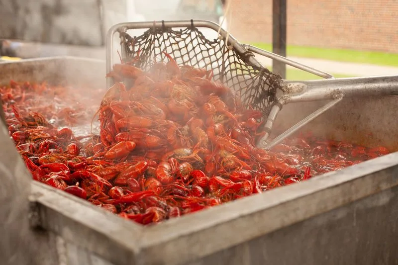 Crawfest - Tulane University (New Orleans)