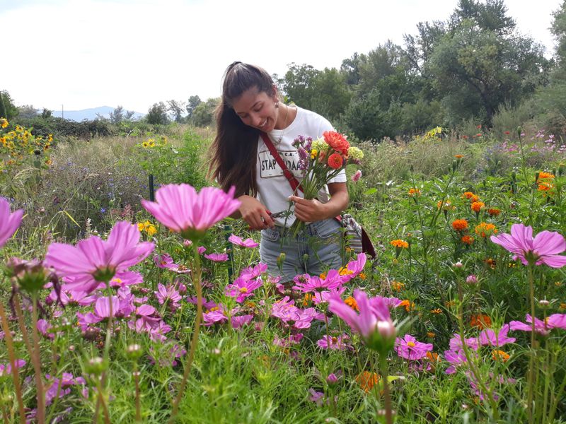 Waterleaf Farm & Design (U-Pick Flowers) &mdash; Ashland, OR