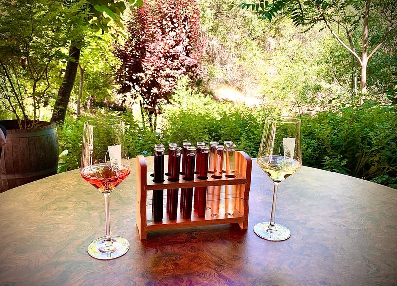 World-Class Wine Country in the Sierra Foothills