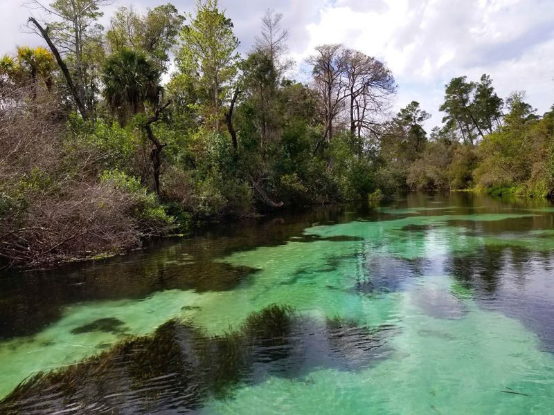 Weeki Wachee Springs State Park