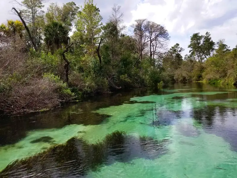 Weeki Wachee Springs State Park