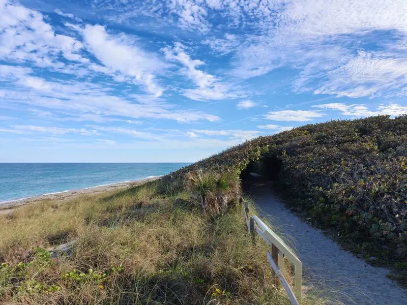 The Soundscape Inside the Green Corridors