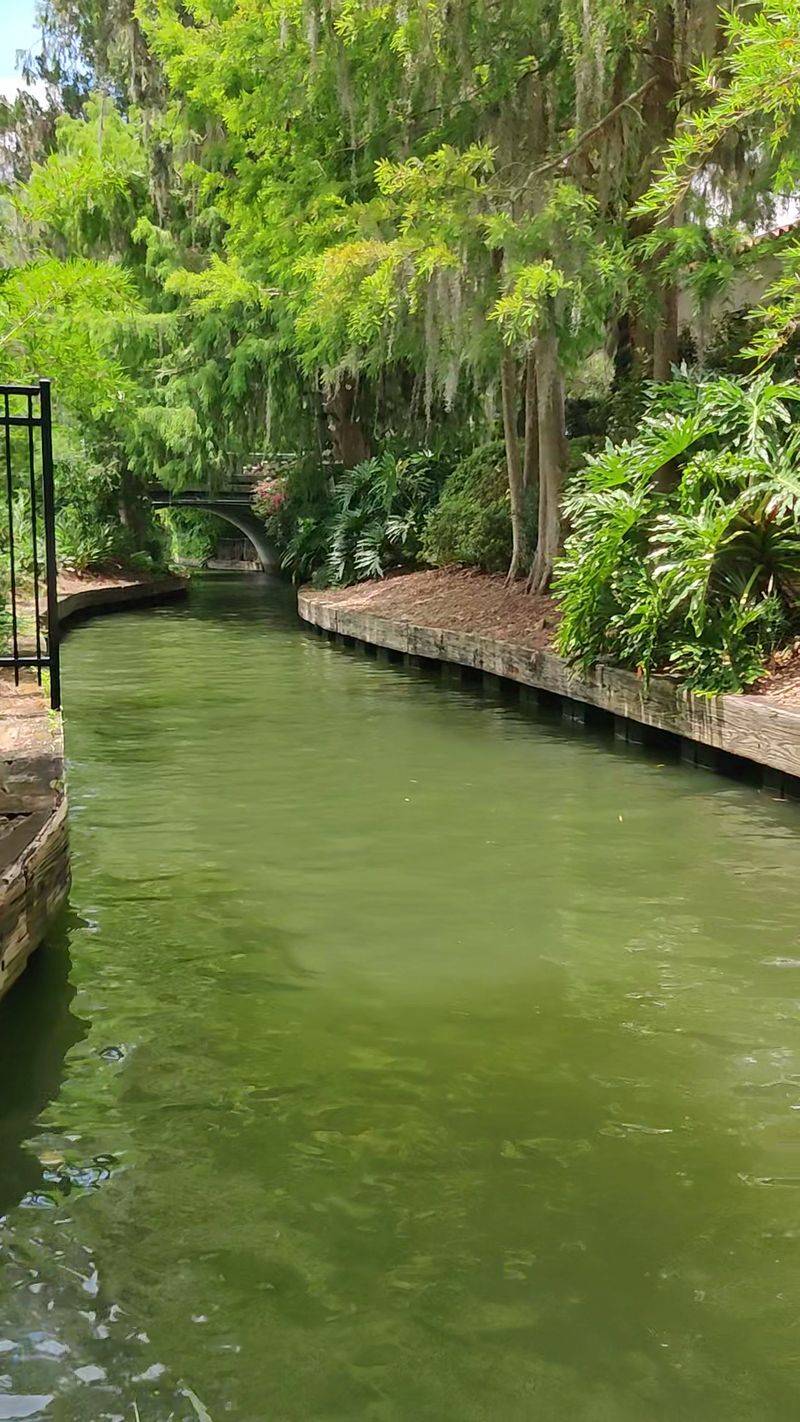 Photography Paradise