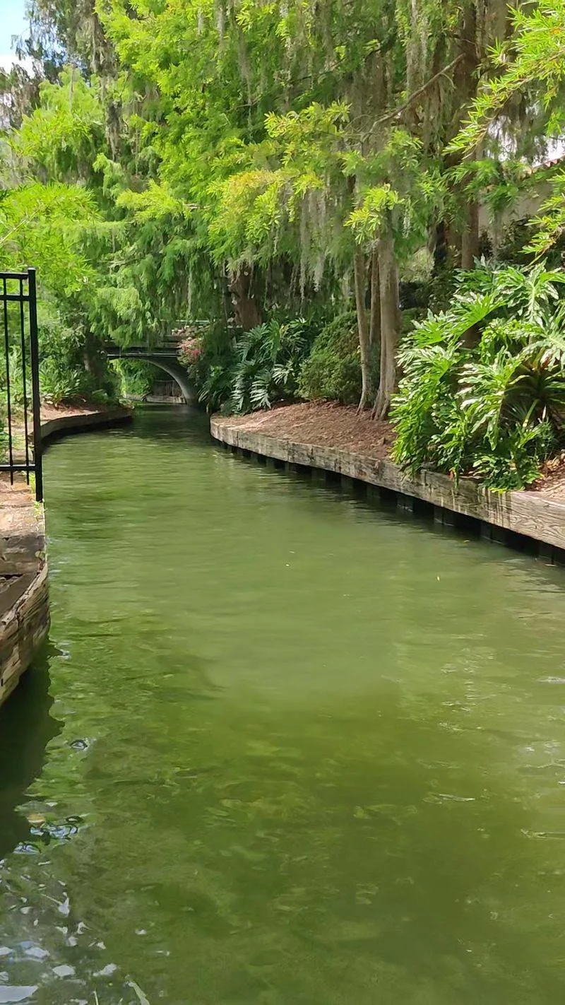 Photography Paradise