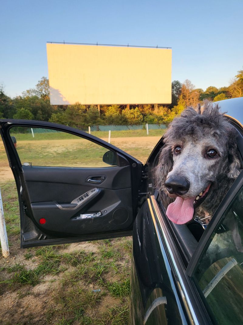 Why Delsea still matters