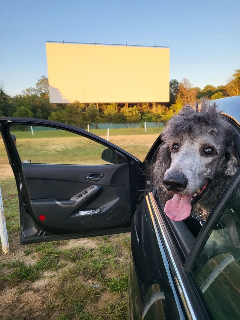 Why Delsea still matters