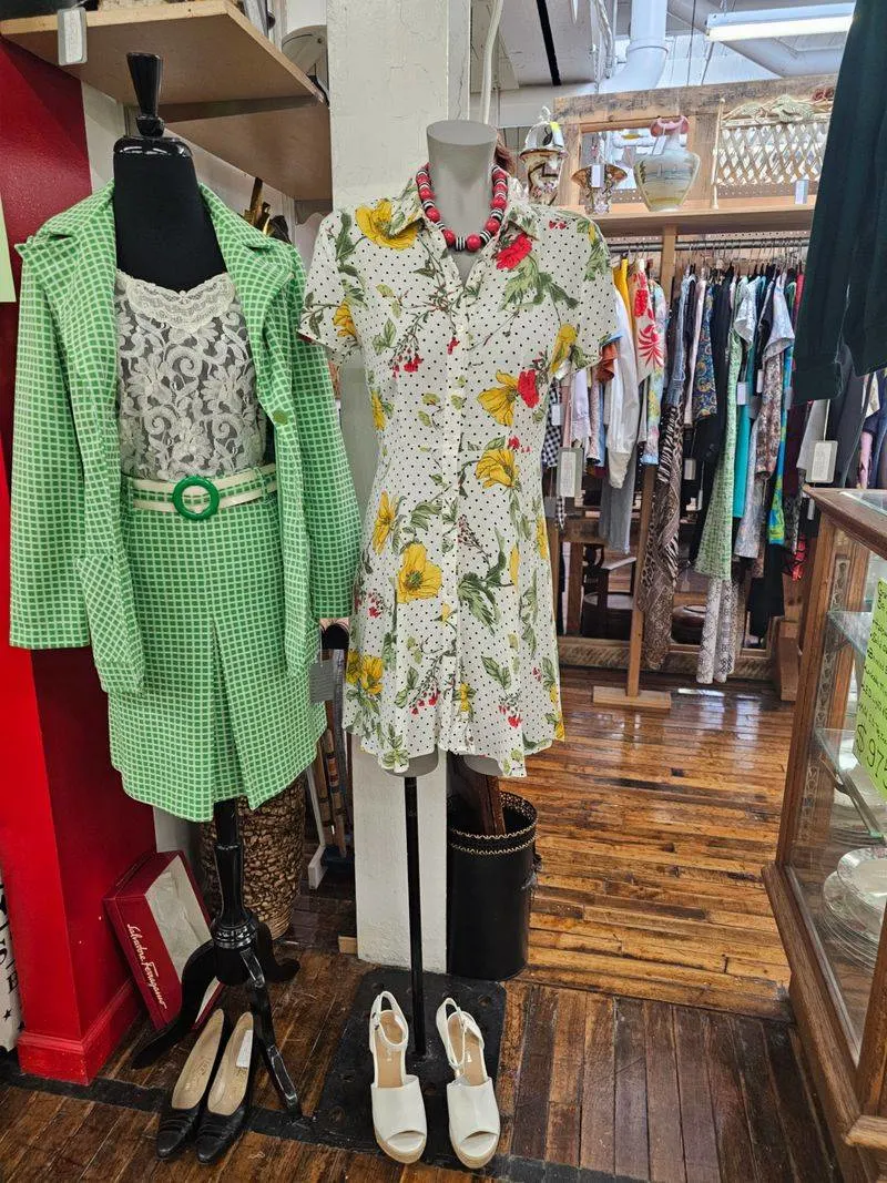 What you will find: categories and highlights