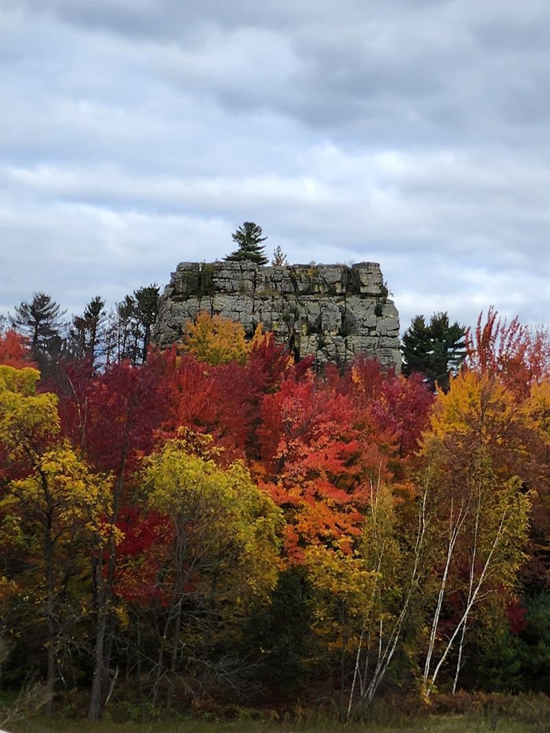 Photography Tips and Compositions