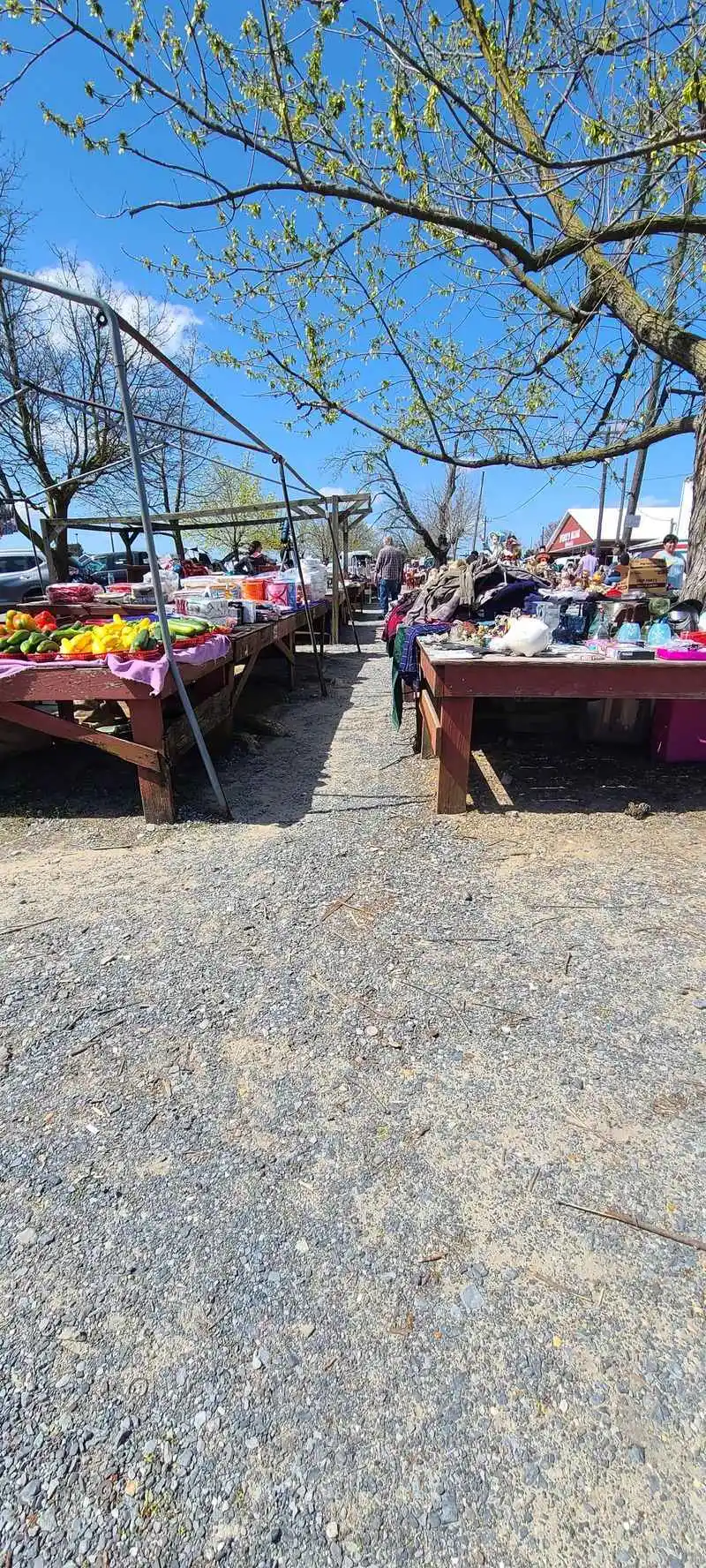 Events, Seasonality, And Peak Shopping Times