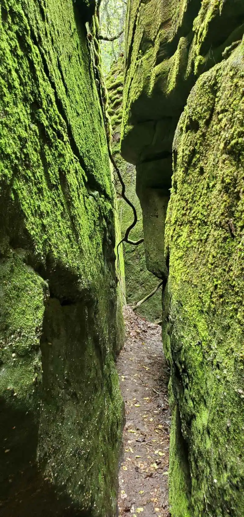 Water, Weather, And Trail Conditions