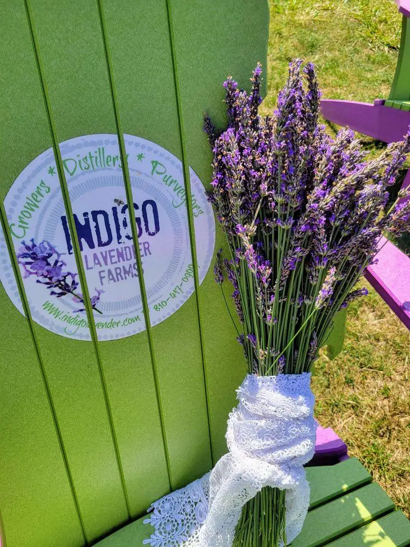 Lavender flavors to try: lemonade, ice cream, and farm-to-cup sips