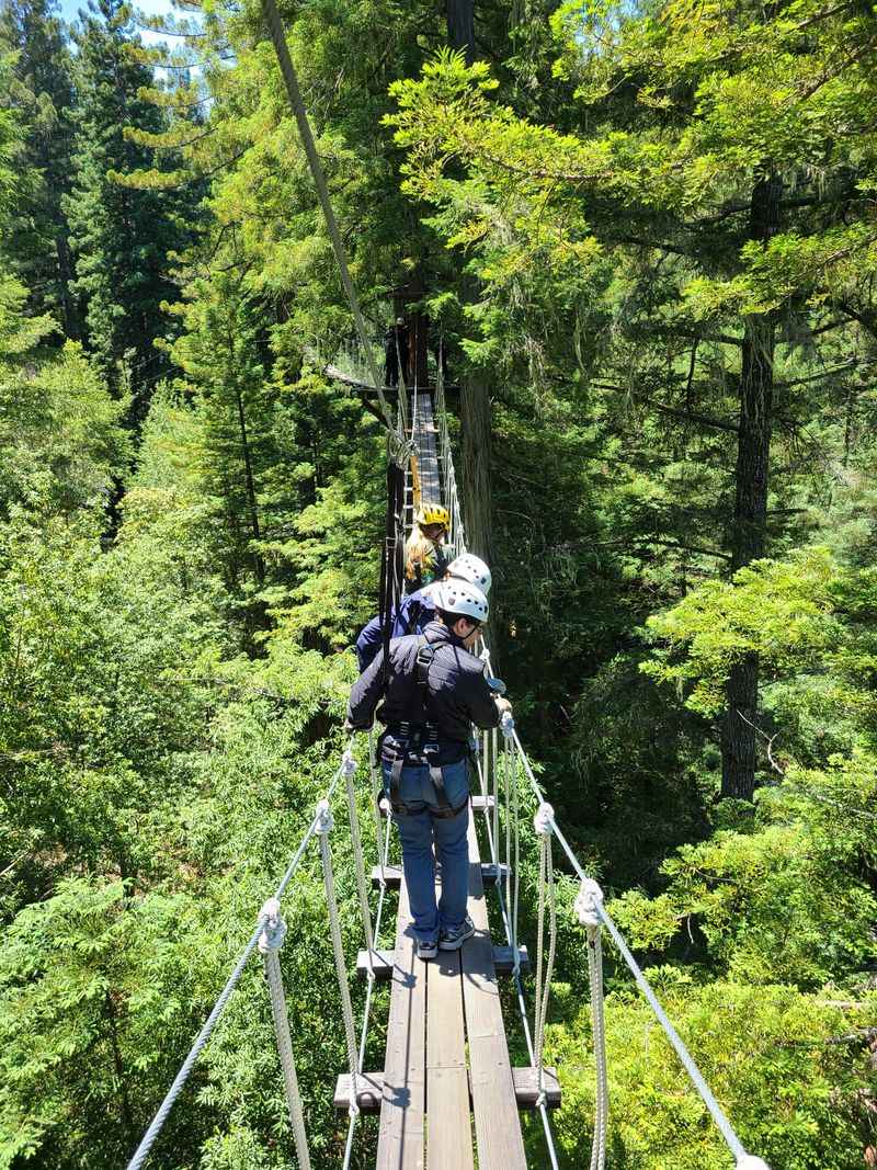 Sonoma Canopy Tours