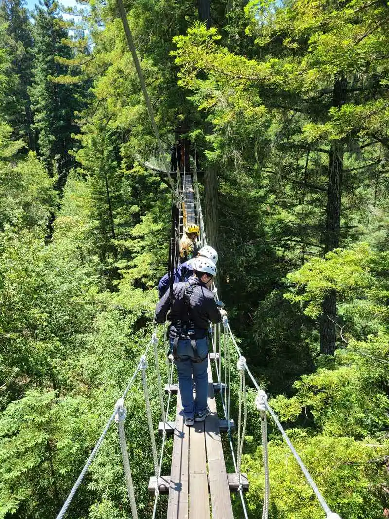 Sonoma Canopy Tours