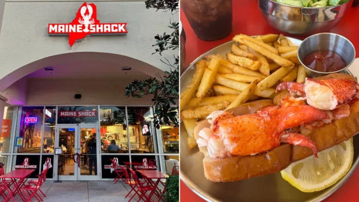 New Englanders Say This Florida Lobster Roll Tastes Like Home