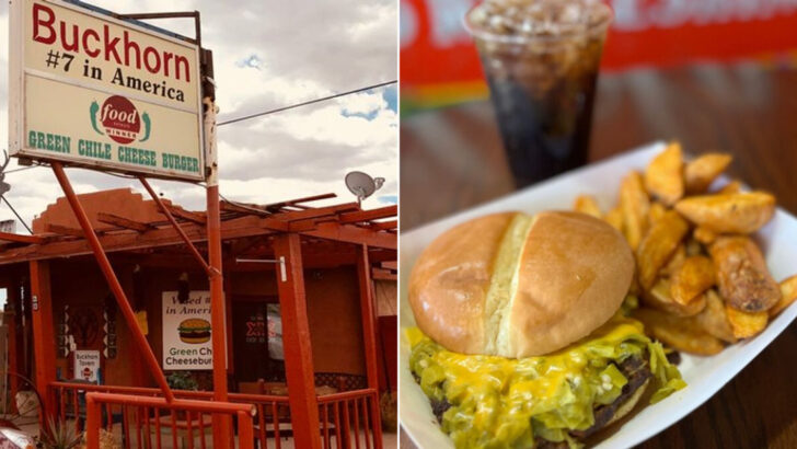 New Mexico has an official Green Chile Cheeseburger Trail with nearly 100 stops