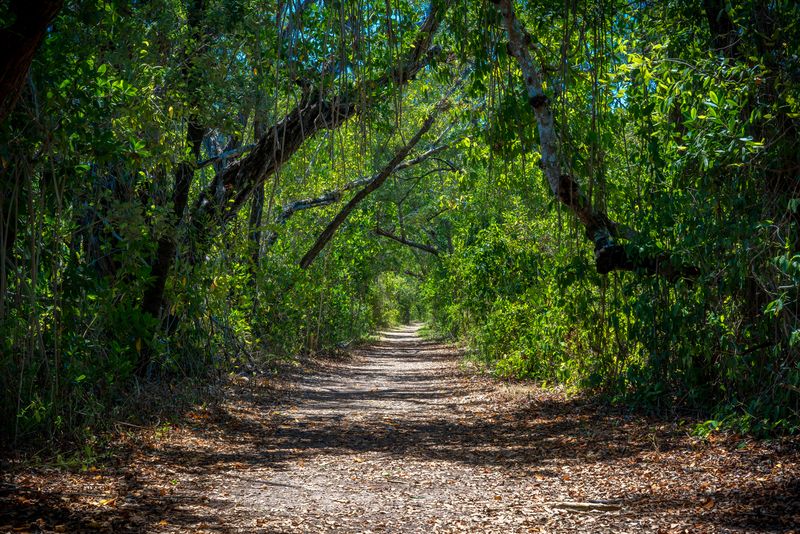 Humphrey Trail at Everglades National Park &mdash; Homestead, FL