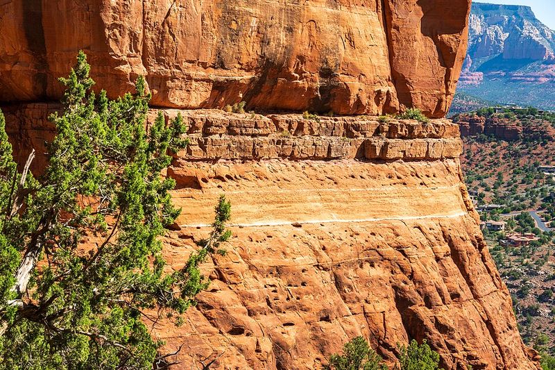 Coconino National Forest