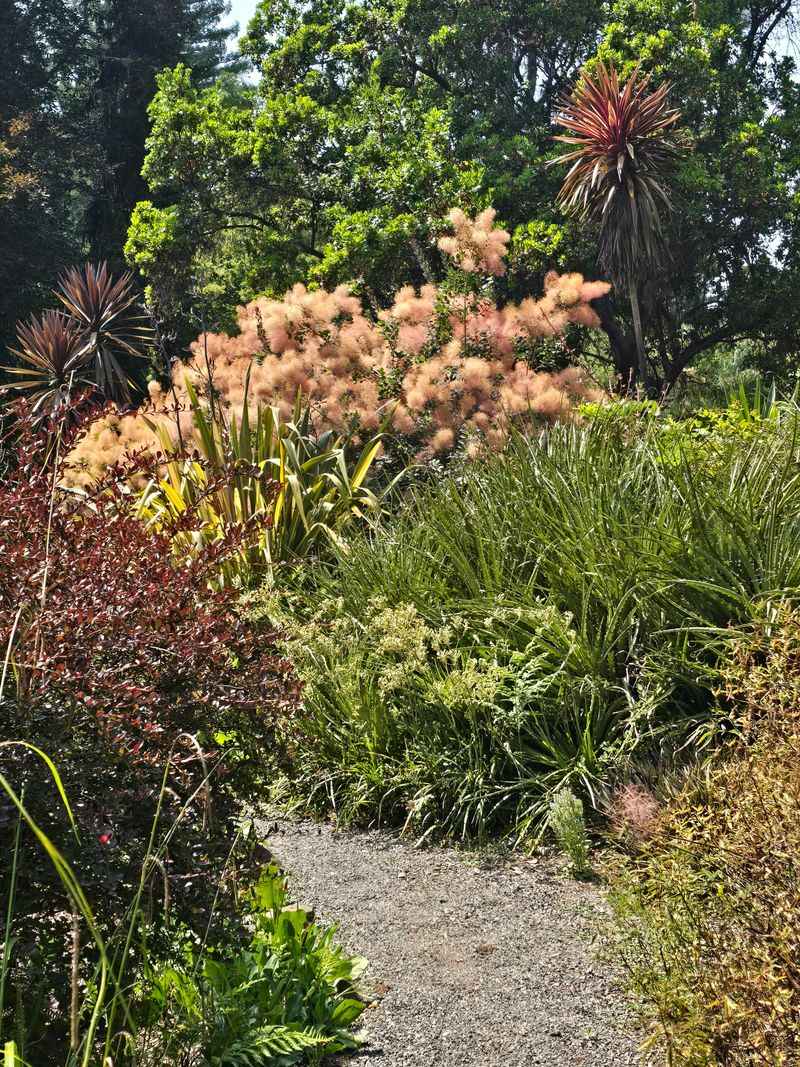 Western Hills Garden