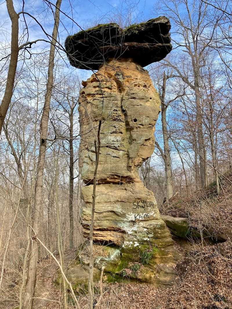 Jug Rock Nature Preserve
