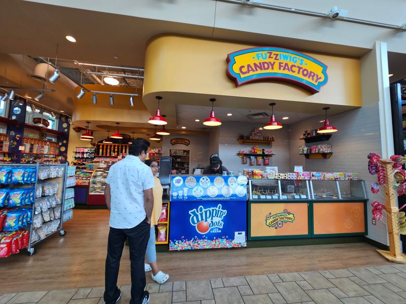 Fuzziwig's Candy Factory &mdash; Springfield, IL