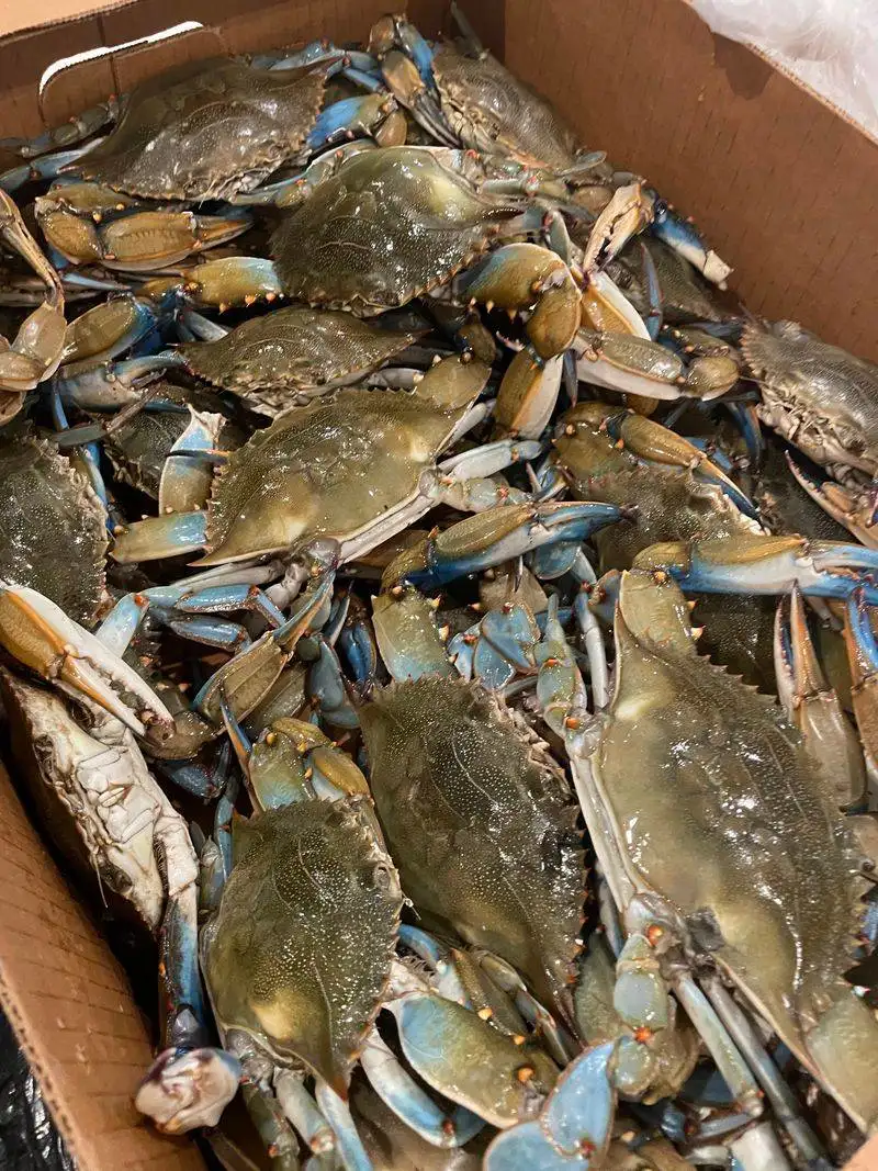 Bluffton Oyster Company