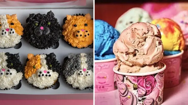 Old-school candy shops in Virginia worth the sugar rush