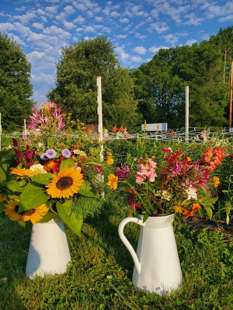 Barefoot Blossom Farm — Ortonville