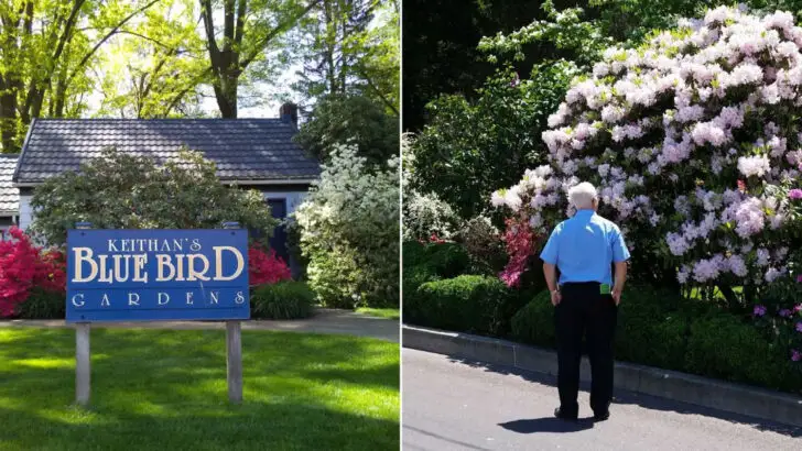 Once just a private rose garden, this Pennsylvania spot now feels like a shared local treasure