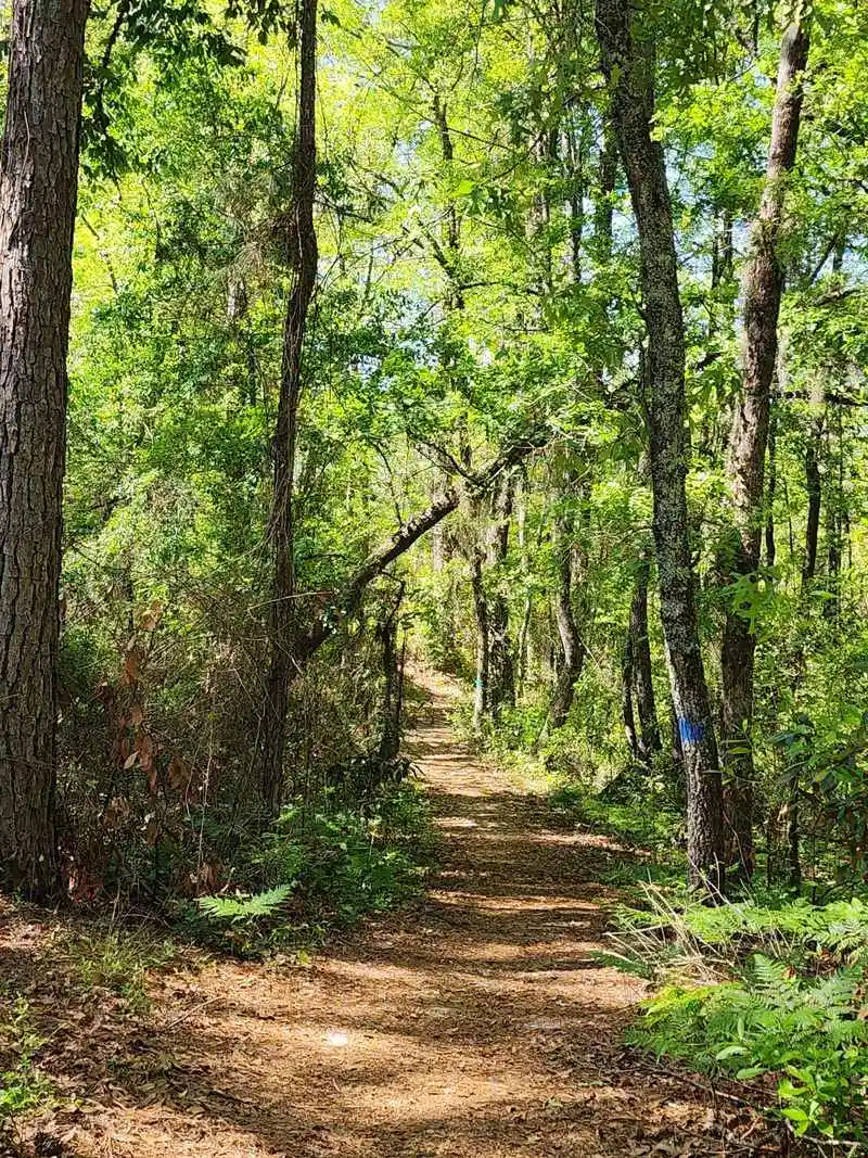 Short Trails That Embrace Stillness