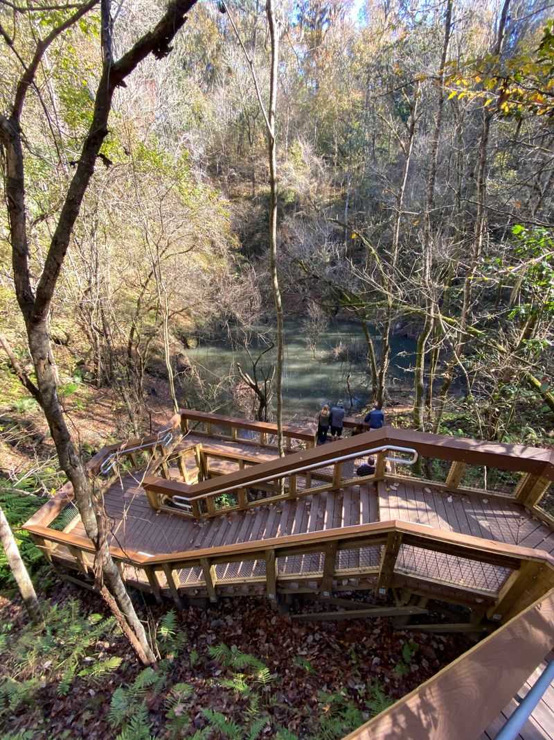 The staircase descent: 264 steps of mini rainforest