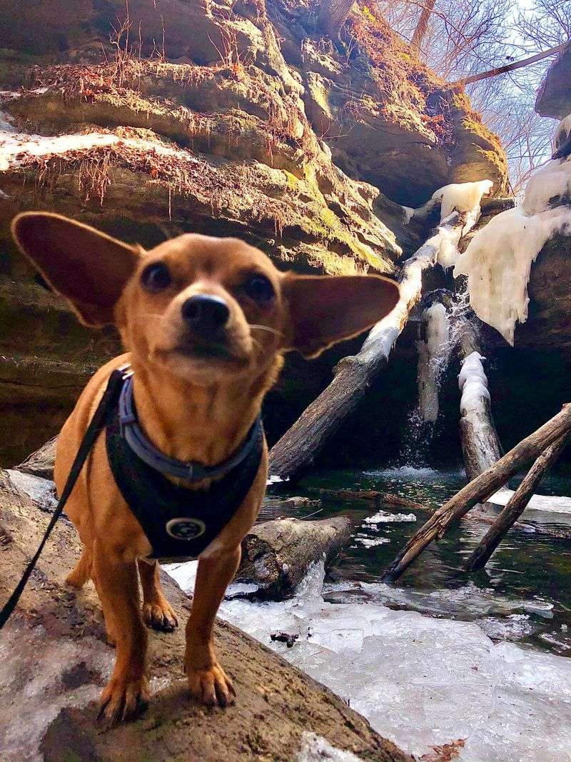 Kaskaskia Canyon in Winter