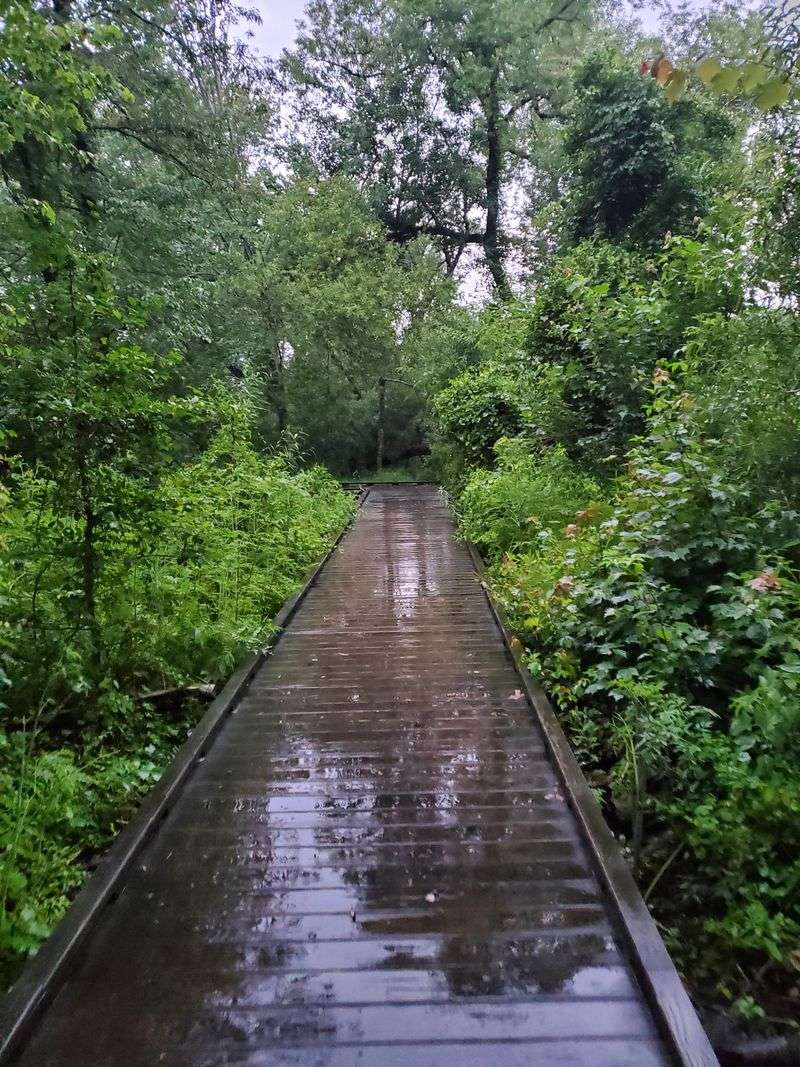 Corolla Park and Trails