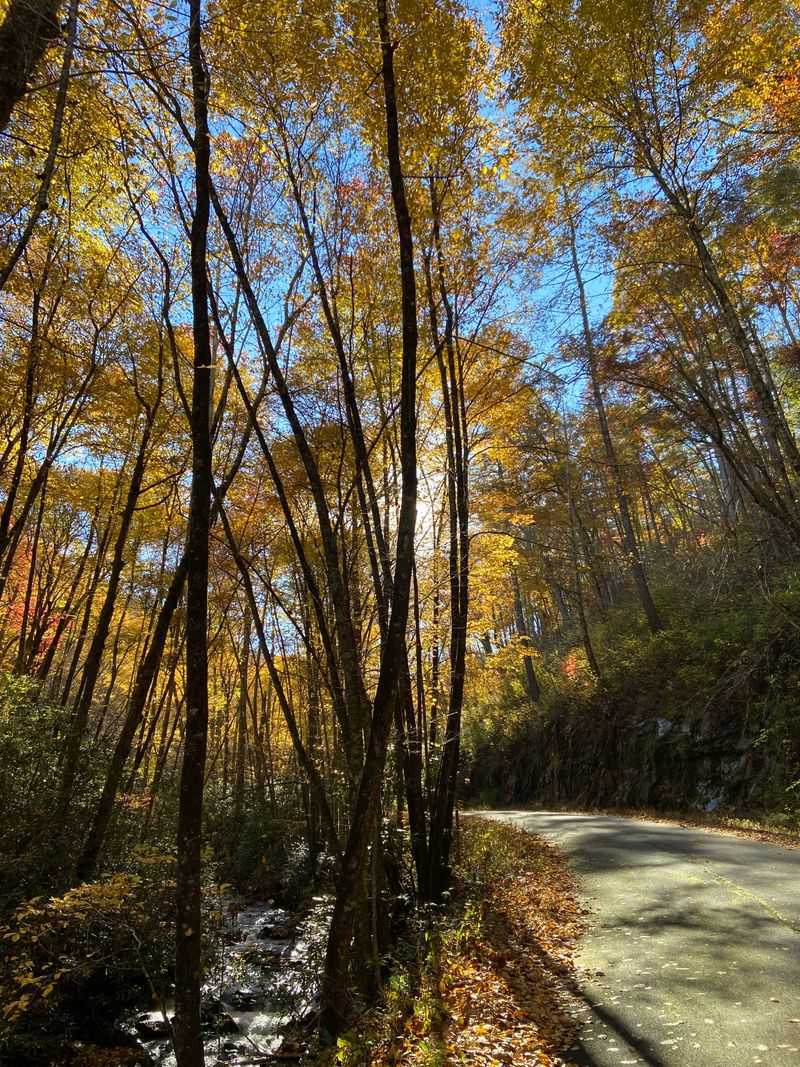 Getting there and essential details