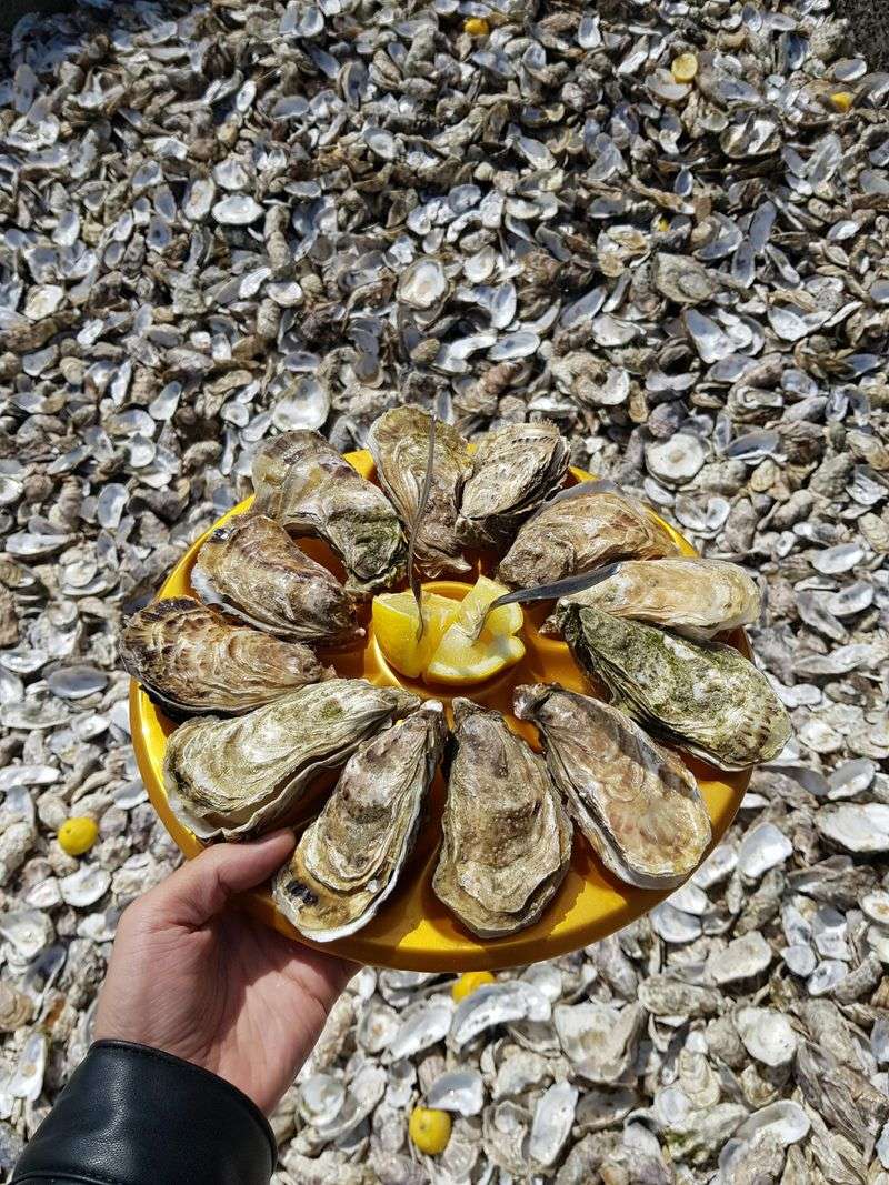 Oyster & Seafood Fest at the Farm &mdash; Highlands
