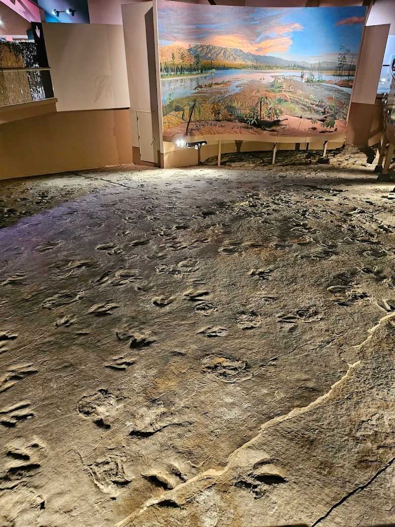 Dinosaur State Park &mdash; Rocky Hill, CT