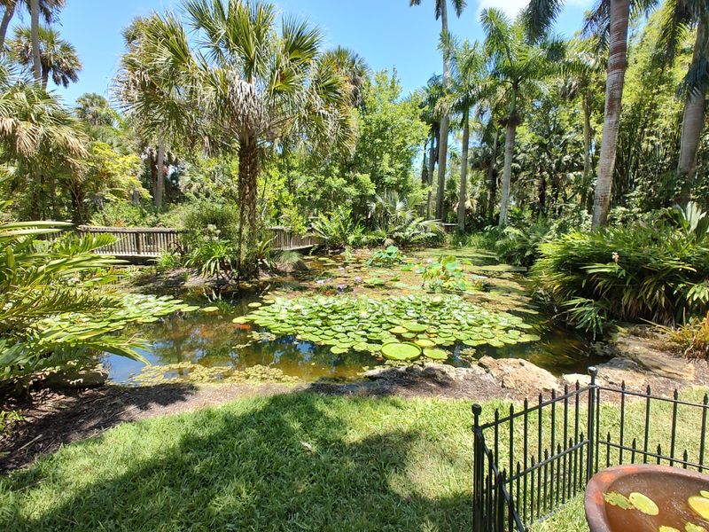 Waterways, Bridges, and Reflective Moments