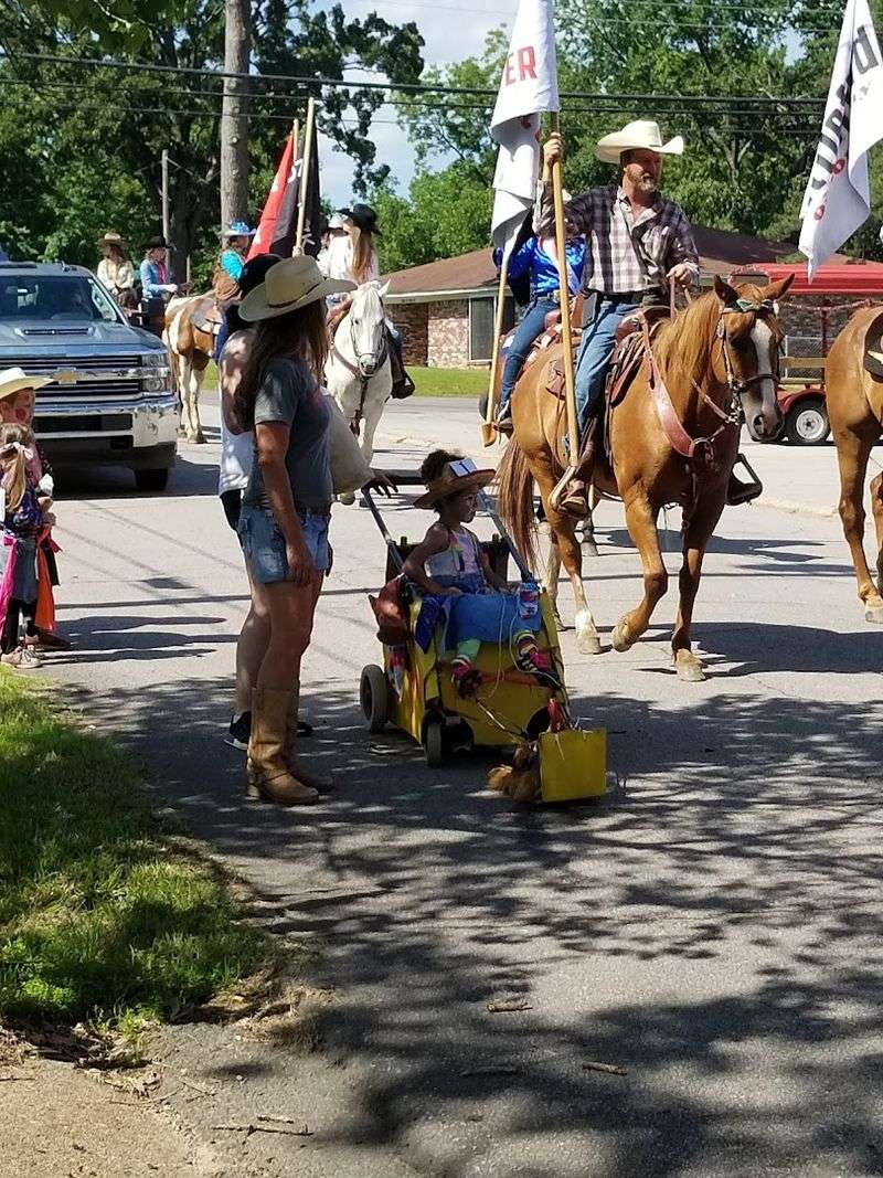 Ozark Downtown Historic District