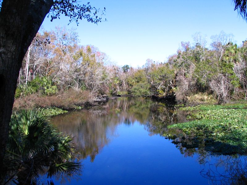 Little Manatee River &ndash; Hillsborough County, FL