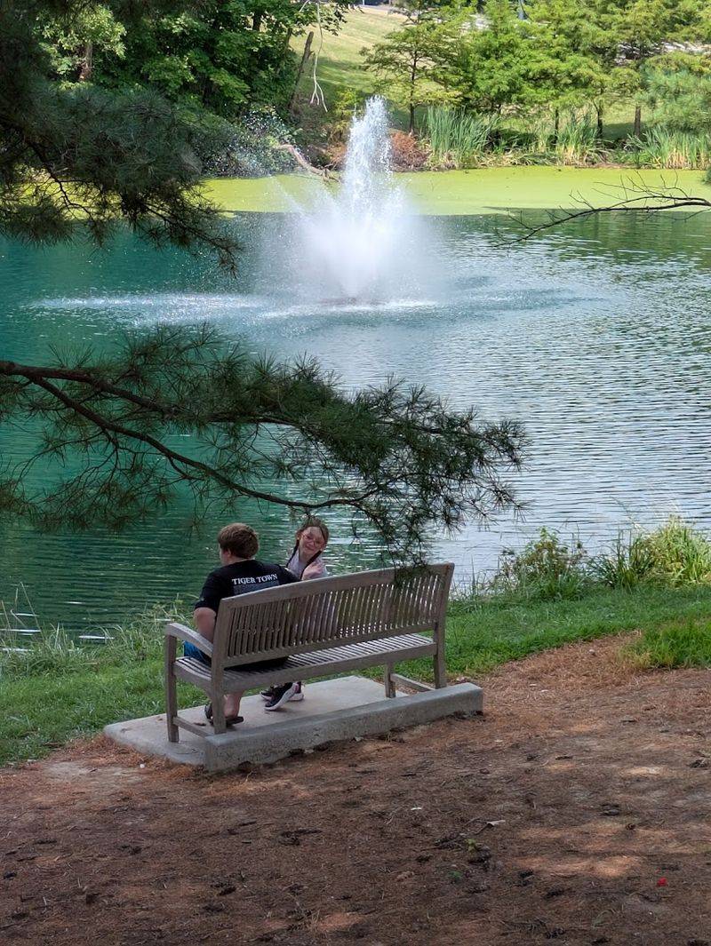 The Scenic Lake with a Stunning Fountain
