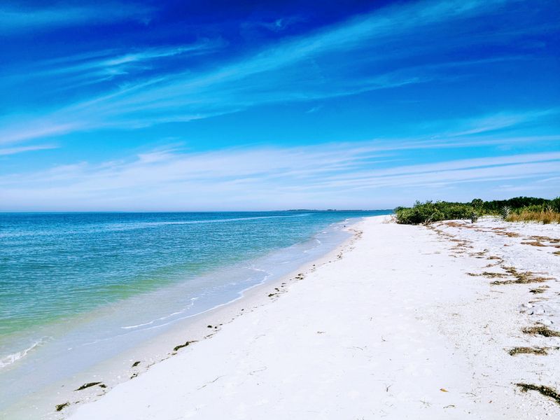 Caladesi Island State Park Paddle Trail &mdash; Dunedin, FL