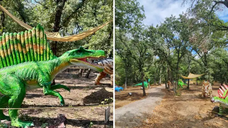 People bring their kids from all over Texas to this interactive dinosaur park