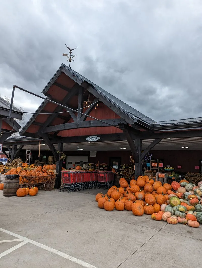 Essential Visitor Information