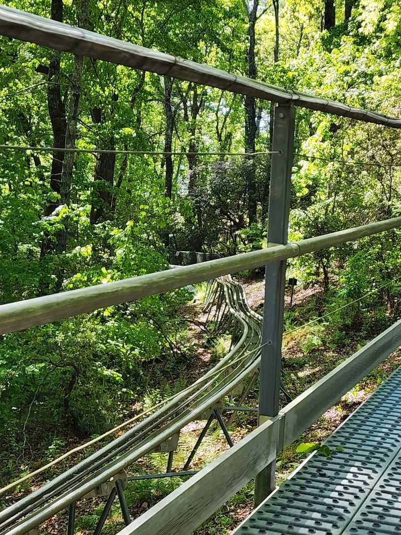 A Must-Visit Attraction